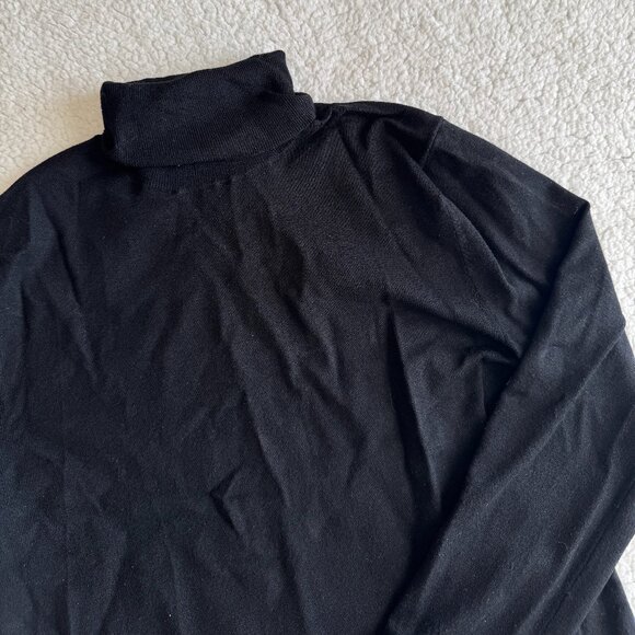 Aritzia Babaton Leonara Turtleneck Black - Picture 5 of 11
